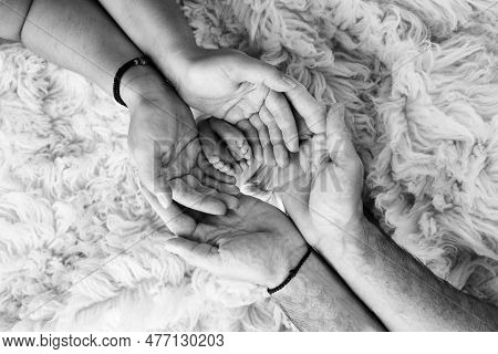 Feet Of The Newborn On The Palms Of The Parents. The Palms Of The Father And Mother Are Holding The 