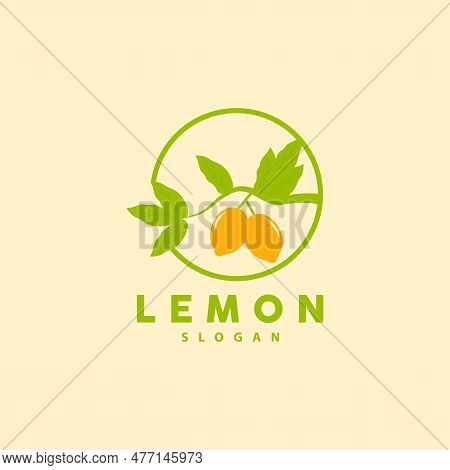 Lemon Logo, Luxurious Elegant Minimalist Design, Lemon Fresh Fruit Vector For Juice, Illustration Te