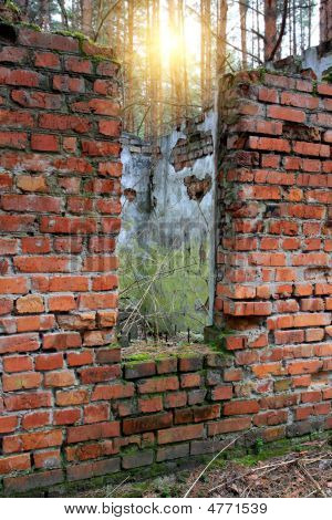 Ruínas da casa abandonada