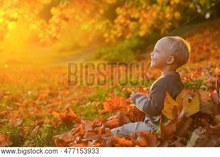 Smilimg Cute Little Girl Sitting On The Covered Leaves Watching The Leaves Fall. Autumn Dream. Kid D