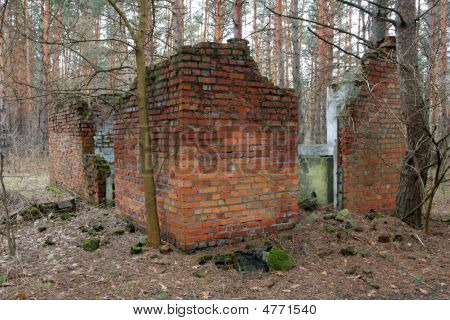 Ruïnes In Forest