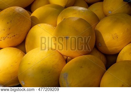 Yellow Honey From Cavaillon, Ripe Round Charentais Honey Cantaloupe Melons On Local Market In Proven