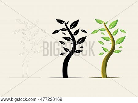 Tree Vector Bundle With Editable Line Art, Silhouettes, And Colored Models