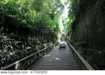 Fort Ruins In Sarushima Island, Yokosuka, Japan