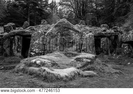 Victorian Folly Of Druids Plantation With Standing Stones Created In Forest In Nidderdale Yorkshire