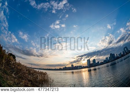 View Of Riverside With A Blue Sky, Some Plants And Umeda City In The Background (umeda, Osaka, Japan