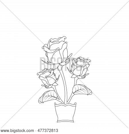 Rose Flower Hand Drawn Coloring Page With Decorative Style Line Art Vector Design