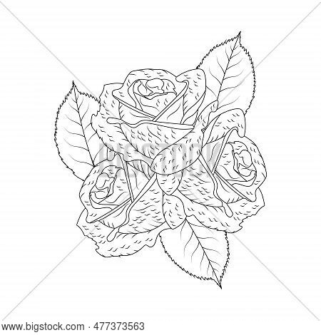 Rose Flower Hand Drawn Coloring Page With Decorative Style Line Art Vector Design