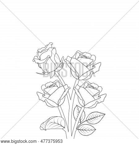 Rose Flower Hand Drawn Coloring Page With Decorative Style Line Art Vector Design