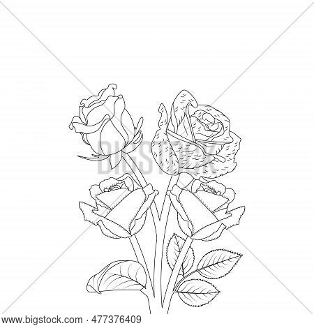 Rose Flower Hand Drawn Coloring Page With Decorative Style Line Art Vector Design
