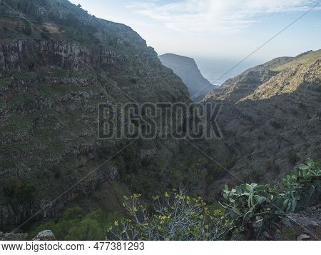 View Of Green Valley With Palm Trees, Cacti And Sharp Cliffs Of La Merica Mountain. Seen From Camino