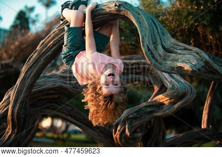 Child Climbing Tree. Smiling Funny Kid Clim Tree In The Garden.