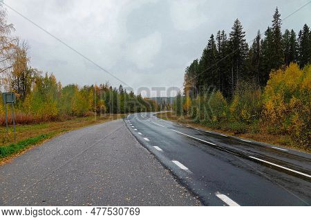 A picture taken on the roads of northern Sweden during fall, showing clouds and various colors of tr