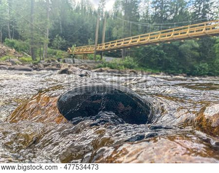 River Logdealven In The County Of Vasterbotten During The Summer