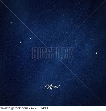 Apus Constellation, Cluster Of Stars, Bird Of Paradise Constellation