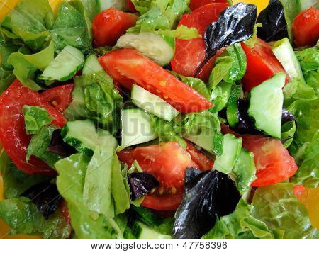 Frisk salat