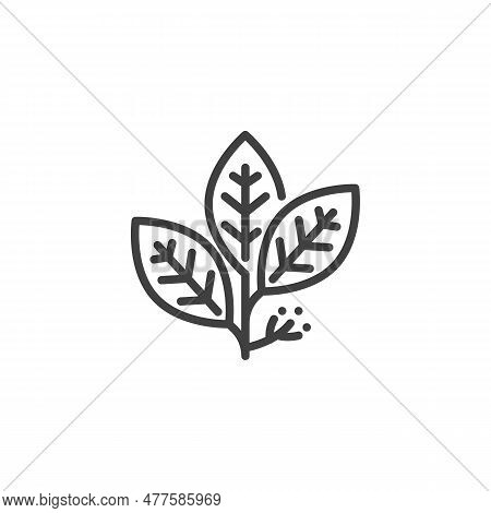 Bay Leaves Line Icon. Linear Style Sign For Mobile Concept And Web Design. Bay Herb Outline Vector I