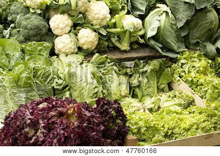 Green Vegetables
