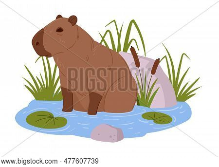 Cartoon Capybara. Cute Semi-aquatic Wild Animal In Natural Habitat, Herbivore Mammal Sitting In Pond