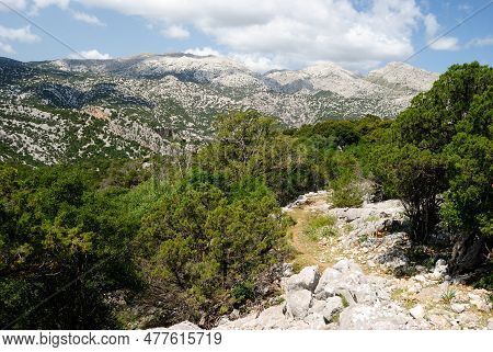The Path From Cuile Sas Traes To Cuils Sos Mojos