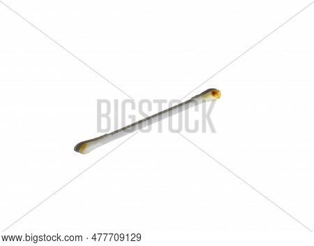Dirty Cotton Swab . Earwax On Cotton Swabs. Personal Hygiene. Dirt From The Ears. Medicine. Hygiene 