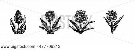 Linotype Floral Icon Collection In Whimsical Vector Art. Decorative Foliate Design For Rustic Botany