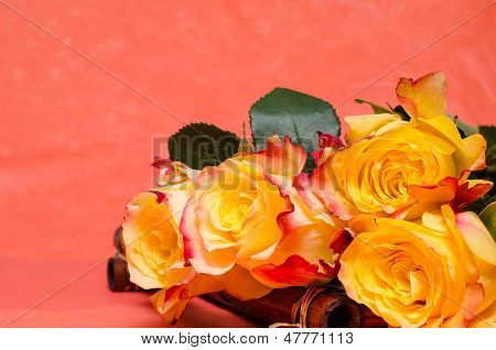 Roses