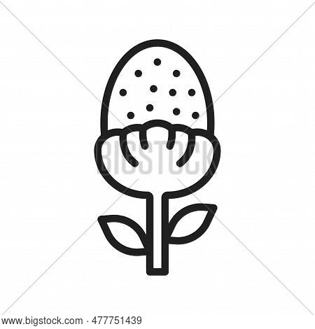 Pineappleweed Icon Image. Suitable For Mobile Application.
