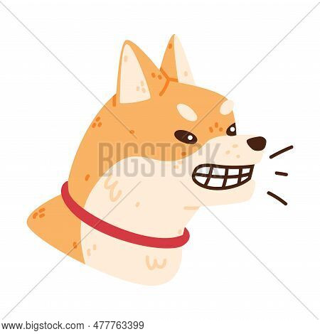 Akita Inu Dog And Domestic Animal Or Pet Gnar Vector Illustration