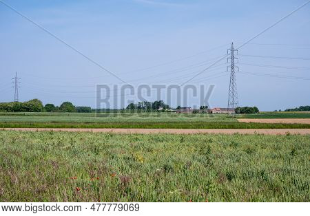 Agriculture Fields And Meadows At The Flemish Countryside Around Boutersem, Belgium