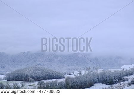 Winter Forest Covered With Snow Across The Sky During Blizzard. Winter Nature. Nature Background. Ch