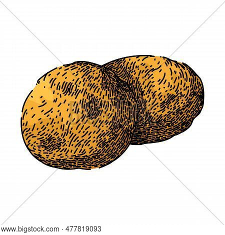 Oatmeal Oat Cookies Hand Drawn. Bowl Cereal, Porridge Breakfast, Healthy Blueberry, Food S, Fruit Mu