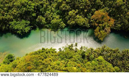River In The Mountain Jungle Covered With Green Trees. Loboc River In A Rainforest In A Mountain Can