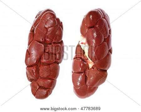 Zwei Rindfleisch Kidneys.isolated.