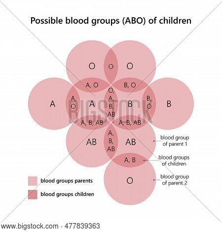 Possible Blood Group (abo) Of Children. In Circles (pink) Are The Blood Types Of The Parents. At The