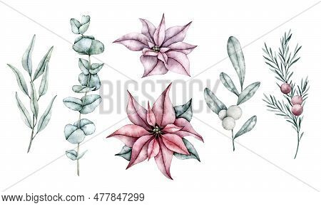 Christmas Set Of Red Poinsettia Flower, Snowberry, Waxberry, Or Ghostberry And Emerald Eucalyptus Br