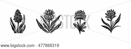 Linotype Floral Icon Collection In Whimsical Vector Art. Decorative Foliate Design For Rustic Botany