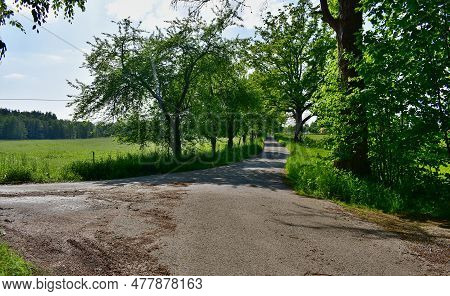 View Ofspring Landscape, Southern Bohemia . Czech Republic