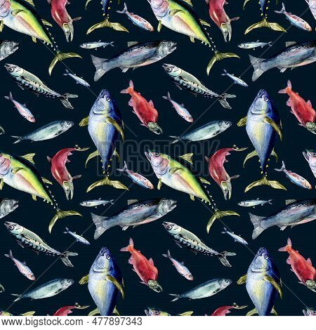 Various Sea Fishes Seamless Pattern Watercolor Illustration Isolated On Black. Wild Fish, Tuna, Salm