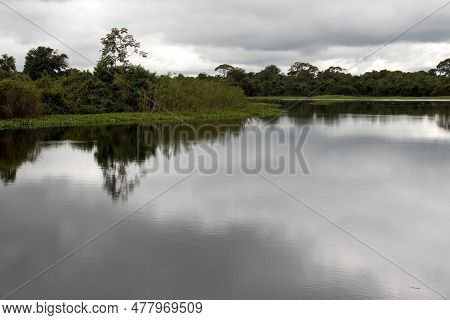 The River Rio Claro In The Pantanal Of Brazil, Near The City Of Pocone