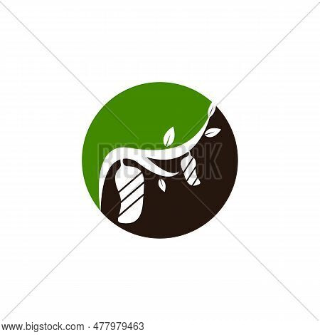 Cocoon Icon Logo Vector Illustration Design Template