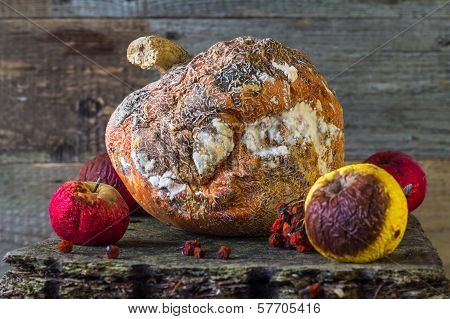 Rotten Fruit Wooden Board