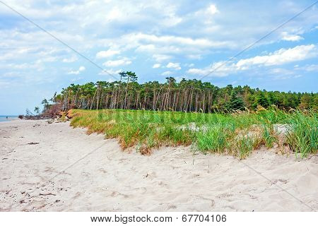 Darss Weststrand