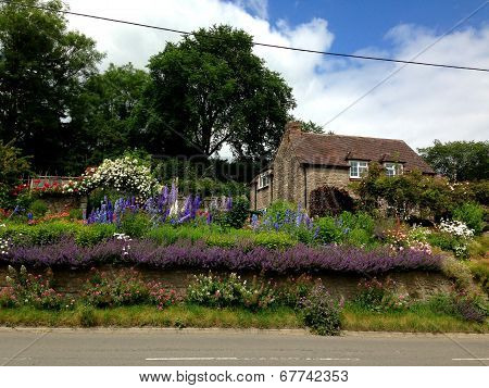 House with landscaped garden