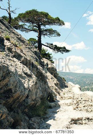 A footstep