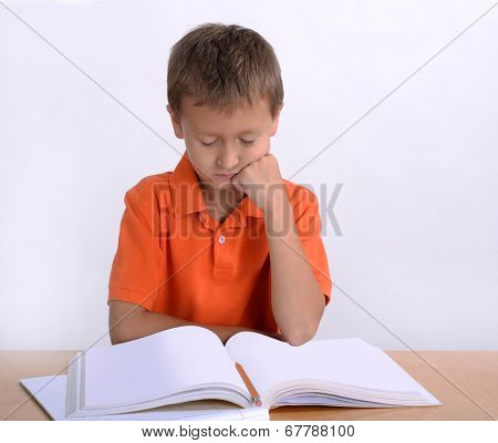 Boy reading homework