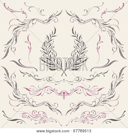 Floral Frame And Border Ornaments