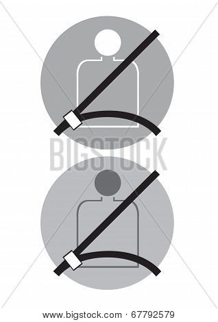 Seat Belt
