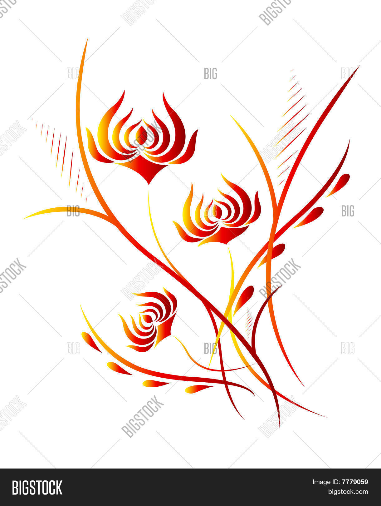 Image Preview