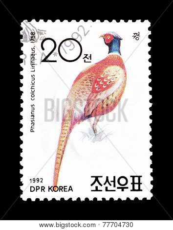 North Korea 1992